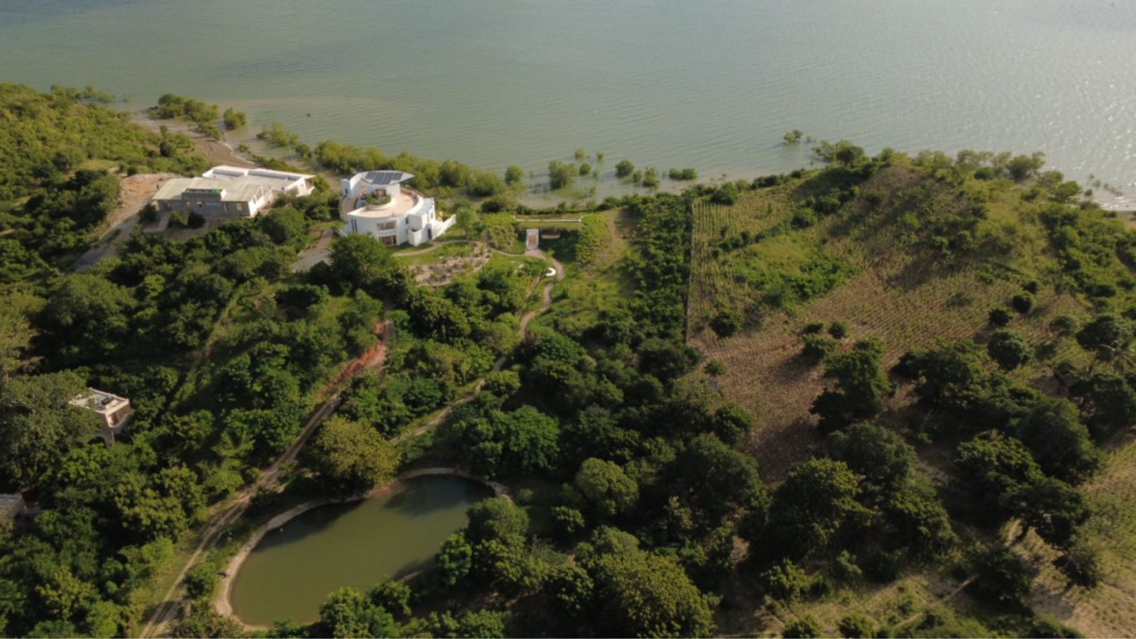 The estate from above — the house, the pond and the creek