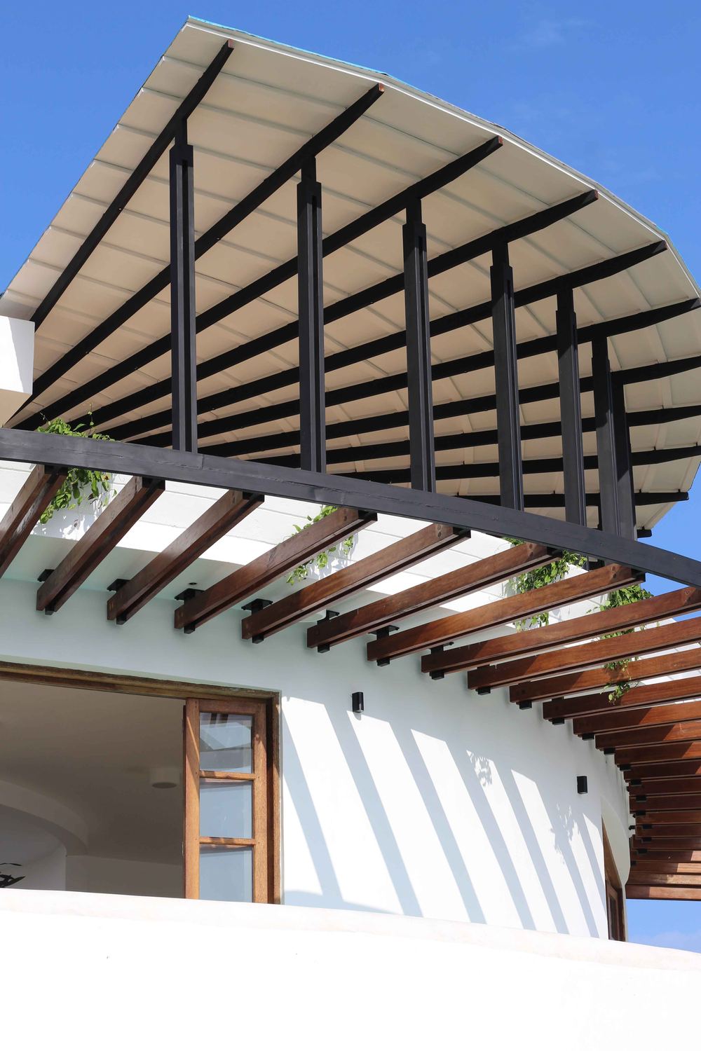 The curved timber pergola roof from below