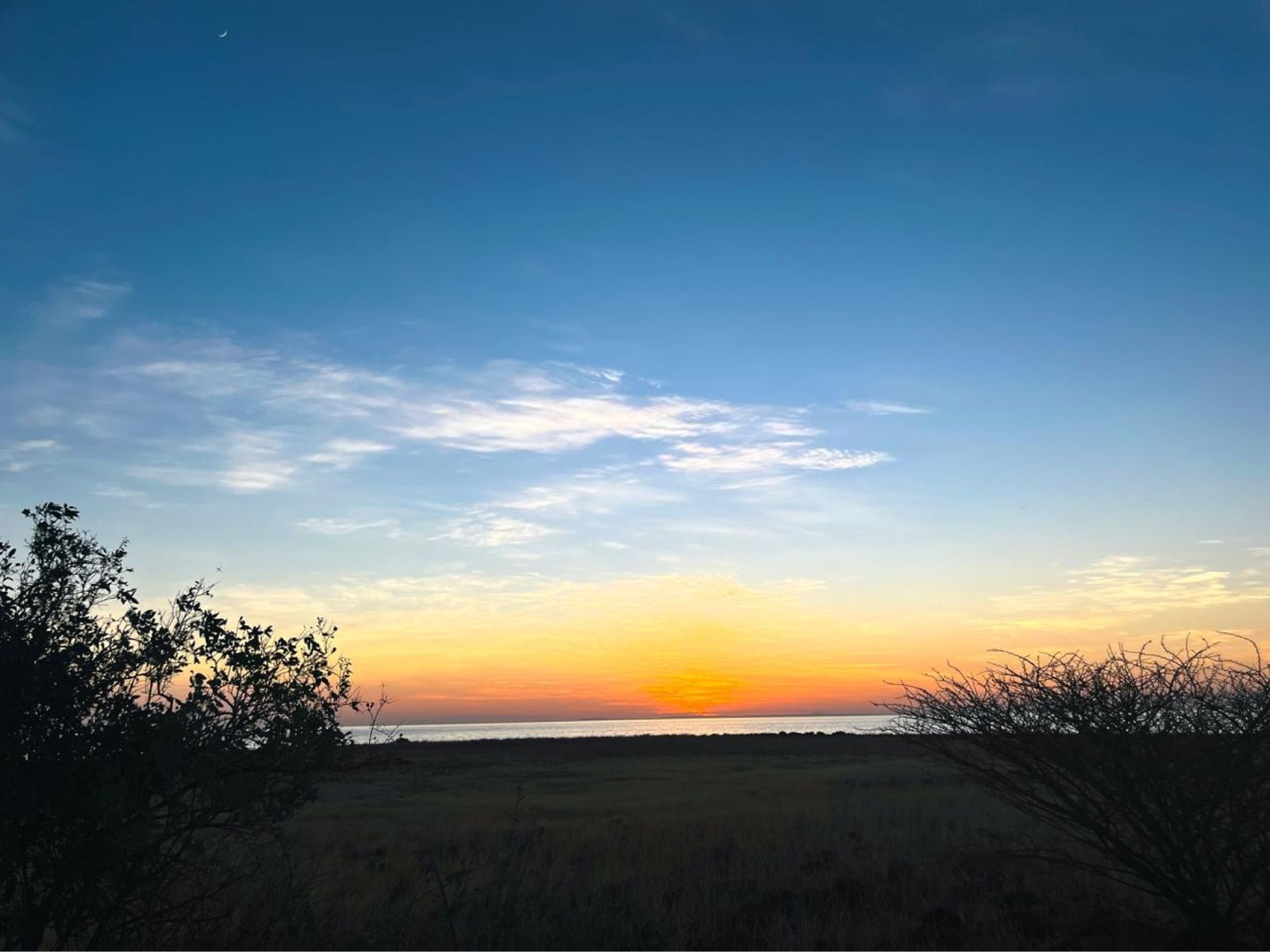 First light over the creek, seen from the grounds